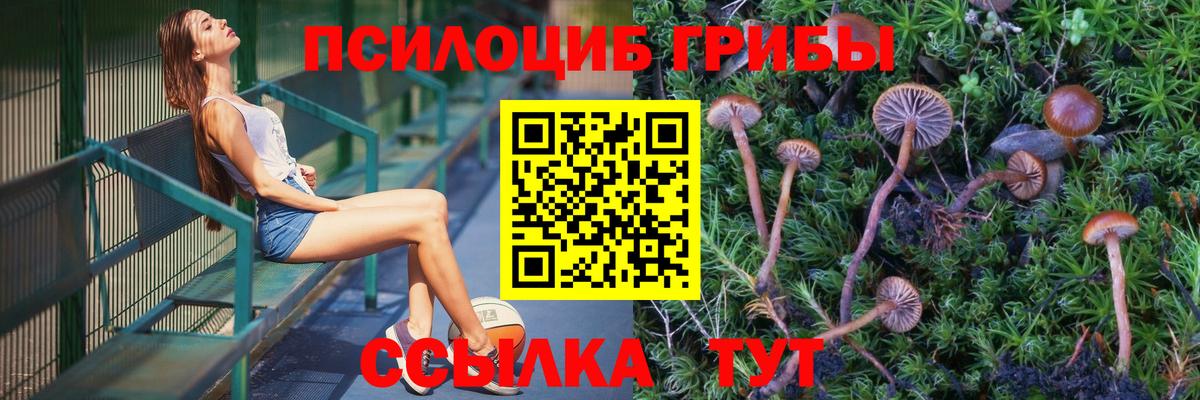 Галлюциногенные грибы прущие грибы  Вход с VPN  Алейск 