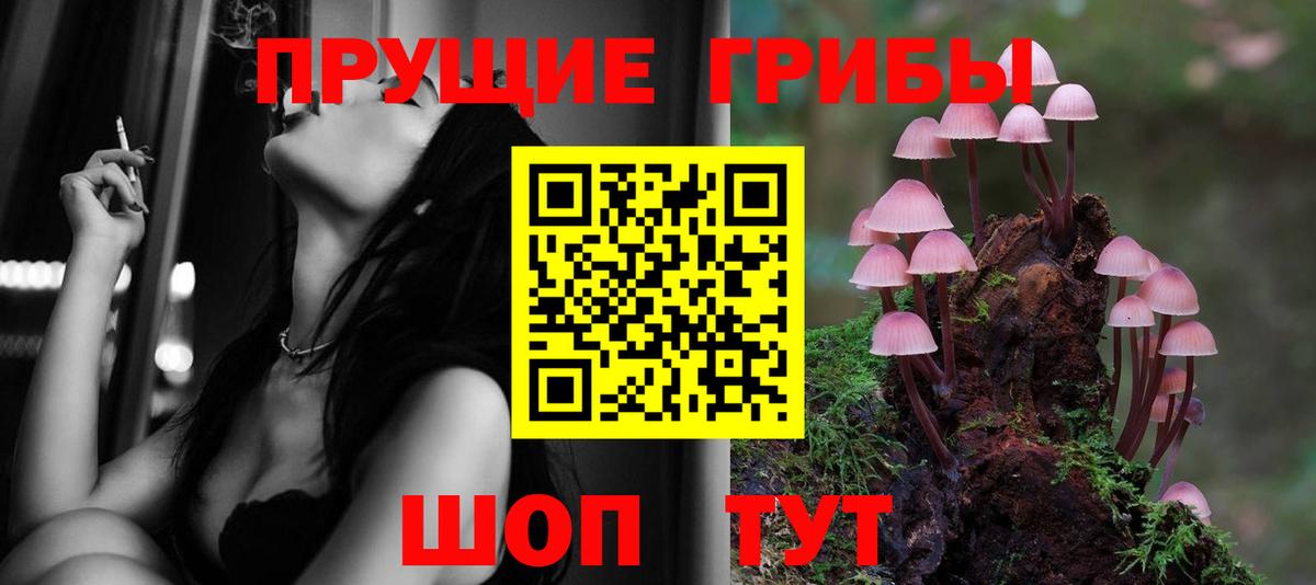 Галлюциногенные грибы Magic Shrooms Алейск